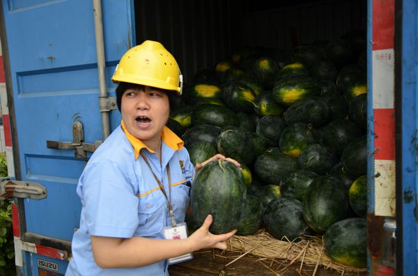 mg冰球突破·豪华版(试玩)官方网站