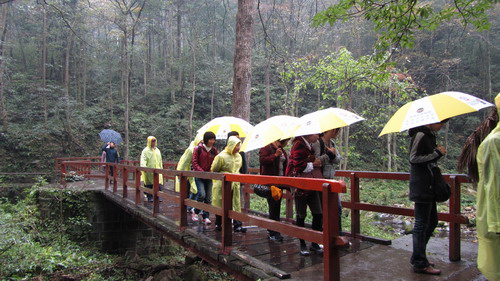 我公司组织部分员工张家界，，，，，，，凤凰古城四日游