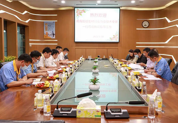 南海区铝型材行业协会手艺专家一行莅临mg冰球突破集团指导事情