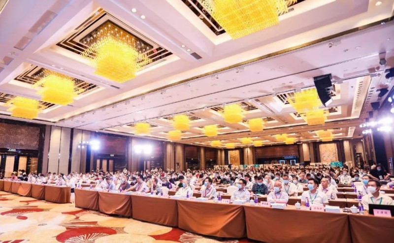 2020�~����T�[�u���~�~�פj�|�ﰶ�`���ƪ������T�������׾¥D�u��