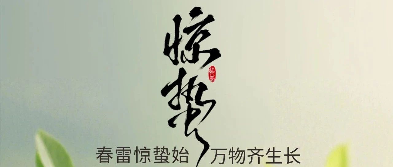 惊蛰 | 春雷惊蛰始 万物齐生长