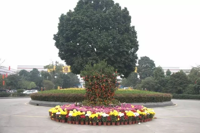 mg冰球突破·豪华版(试玩)官方网站