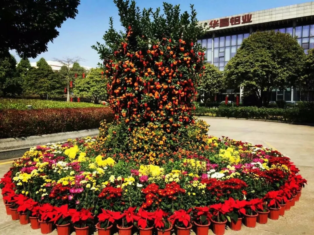 mg����ͻ�ơ�������(����)�ٷ���վ