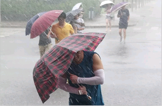 mg����ͻ�ơ�������(����)�ٷ���վ