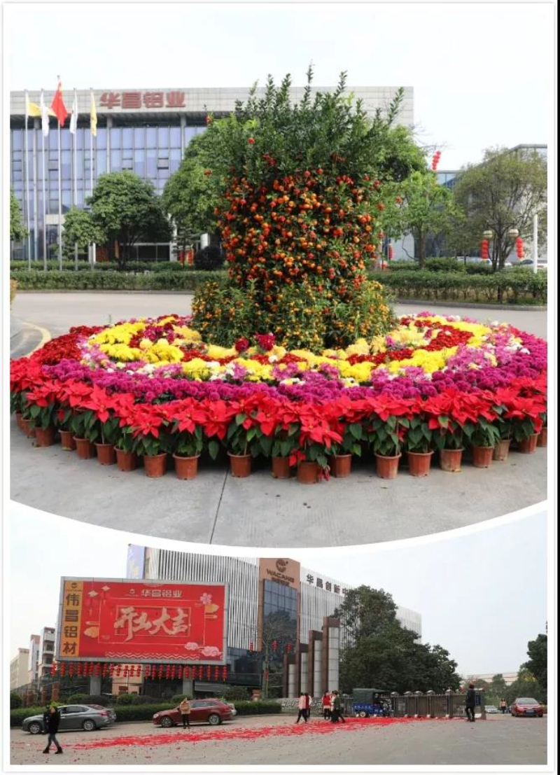 mg����ͻ�ơ�������(����)�ٷ���վ